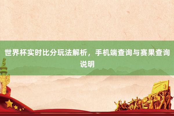 世界杯实时比分玩法解析，手机端查询与赛果查询说明