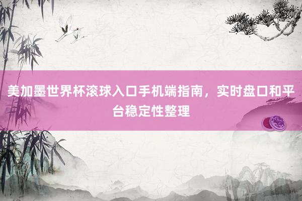 美加墨世界杯滚球入口手机端指南，实时盘口和平台稳定性整理